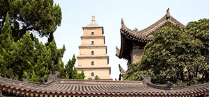 Special offer to Xi'an. Click here to learn more