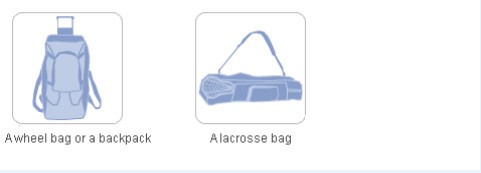 A wheel bag or a backpack and a lacrosse bag